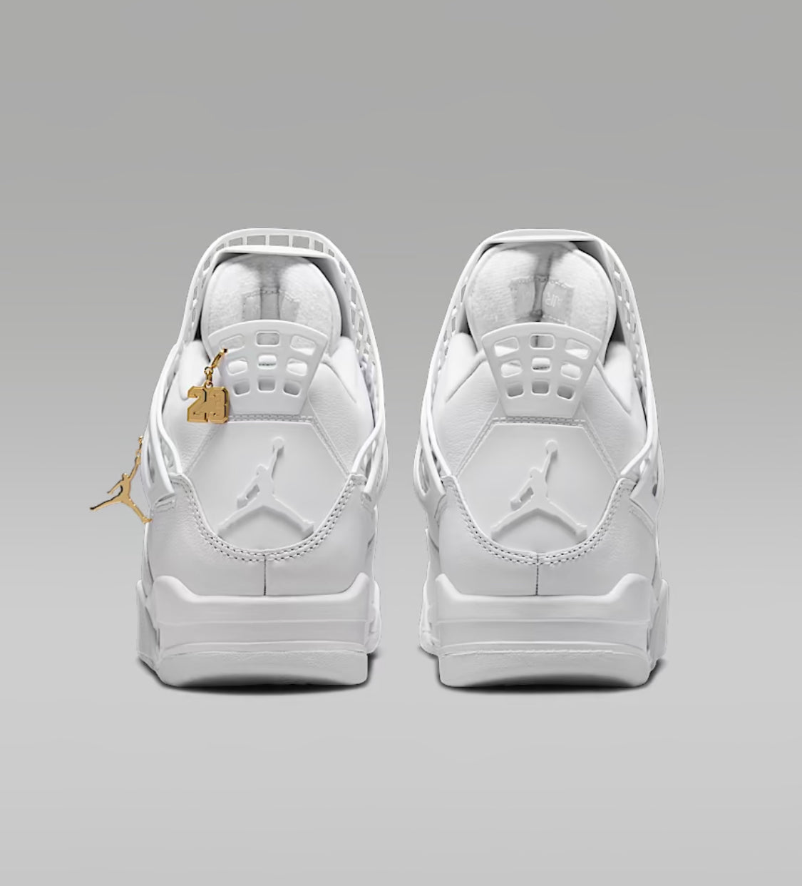 Air Jordan 4 Net