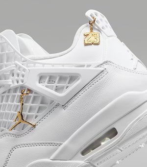 Air Jordan 4 Net