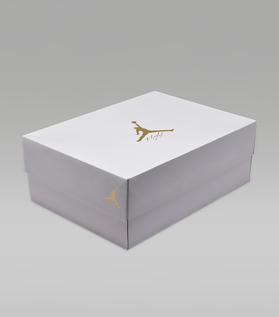 Air Jordan 4 Net