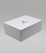 Air Jordan 4 Net