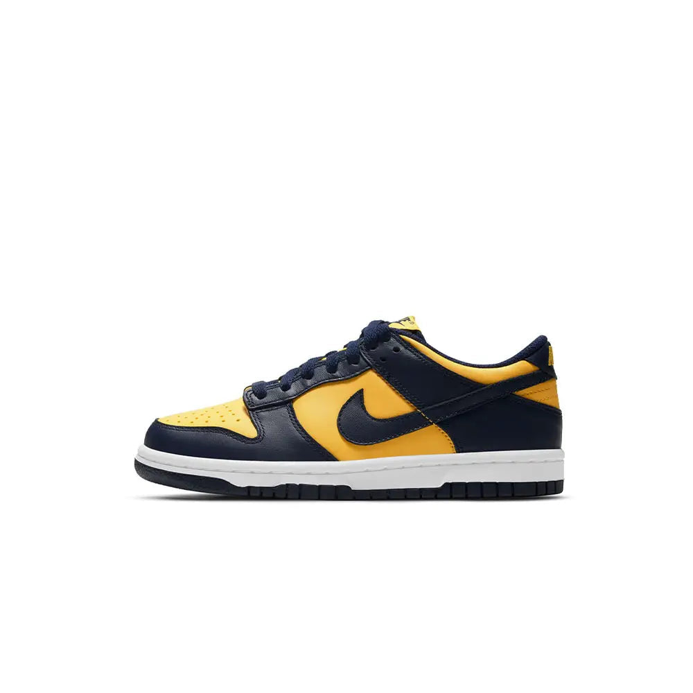 Dunk Low Michigan (GS)