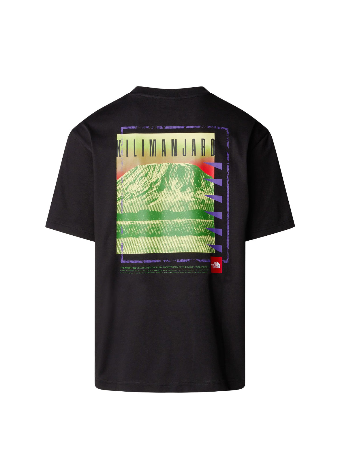 T-shirt norface regular fit