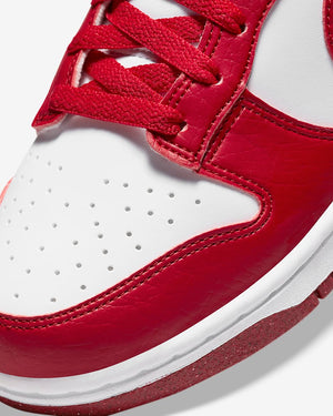 Nike Dunk Low Next Nature