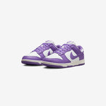 Dunk Low Retro