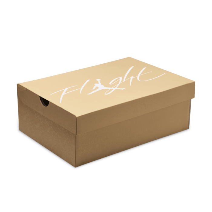 Air Jordan 4 Retro WMNS Cozy Girl