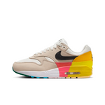 Nike Air Max 1 Multi-Color