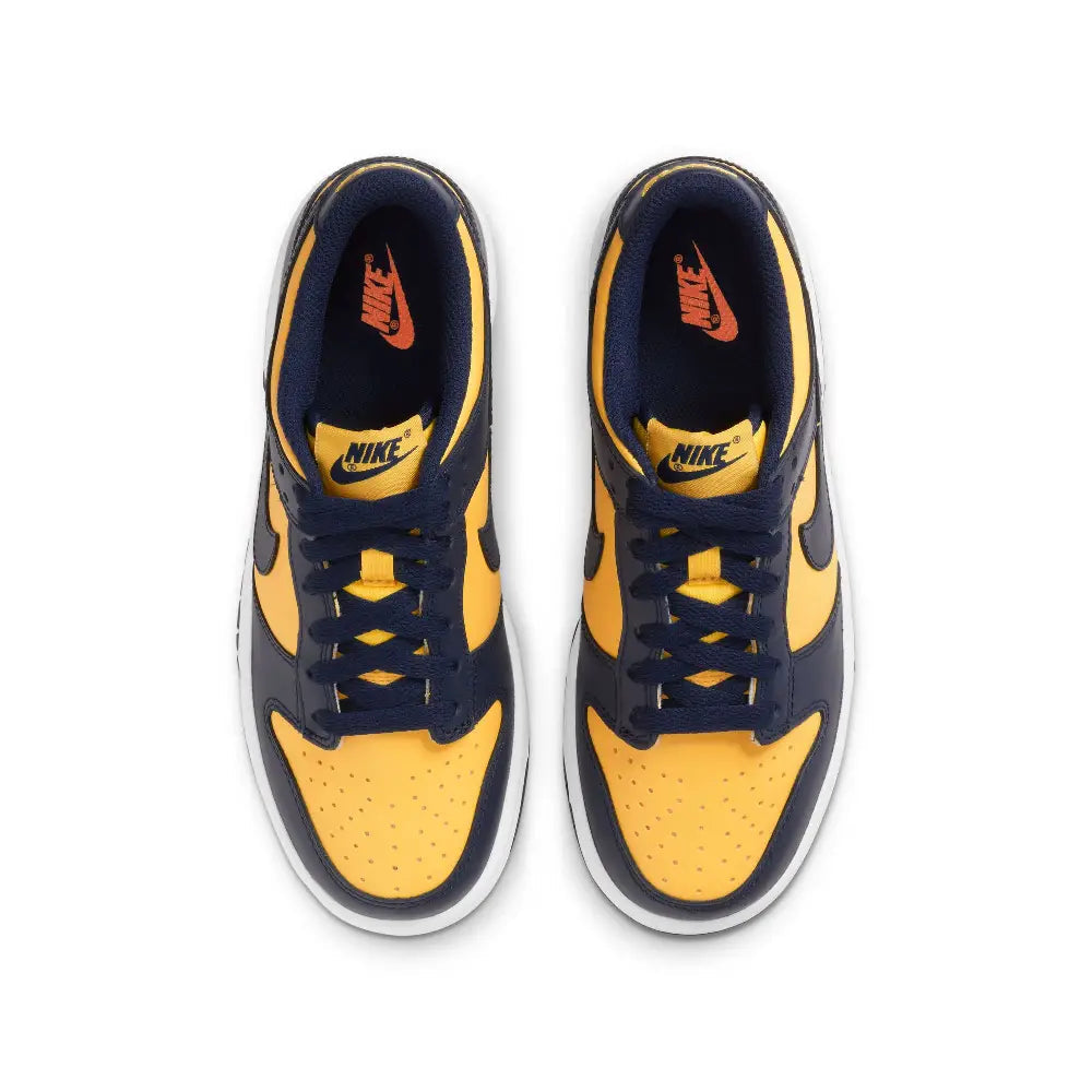 Dunk Low Michigan (GS)