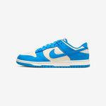 Nike dunk Retro