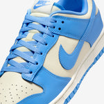 Nike dunk Retro
