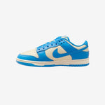 Nike dunk Retro