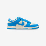 Nike dunk Retro